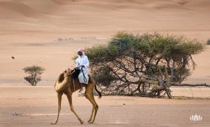 mieszkaniec Omanu podróżujący po pustynii na wielbłądzie