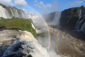 Zieleń przy wodospadzie oraz tęcza, Iguazu, Argentyna