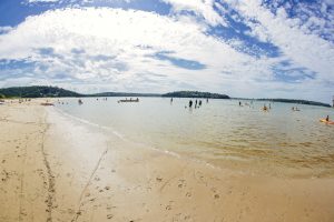 turyści zażywający kąpieli na plaży w Sydney w słoneczny dzień