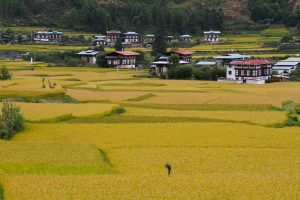widziana z oddali wioska Bhutan położona na zielonych terenach Himalajów