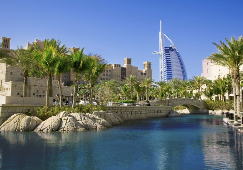 widok na panopramę miasta Dubaj w otoczeniu palm