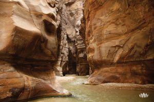 rzeka Wadi Mujib płynąca wąskim korytarzem między wysokimi skałami, Jordania