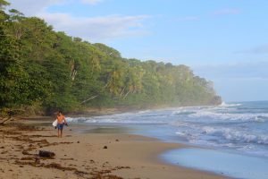surfer specerujący plażą wzdłuż brzegu oceanu, Kostaryka