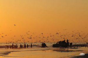grupa ludzi nad brzegiem morza o zachodzie słońca