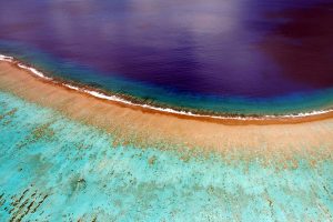 brzeg wyspy Bora-Bora, w tle błękitny ocean, Polinezja
