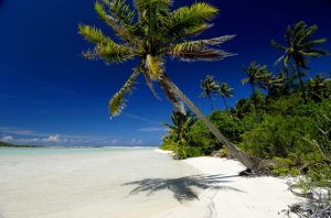 widok na plażę z białym piaskiem, błękitną wodą i bujnymi palmami