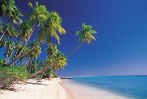 brzeg słonecznej tropikalnej plaży Tahiti, błękitna woda, palmy