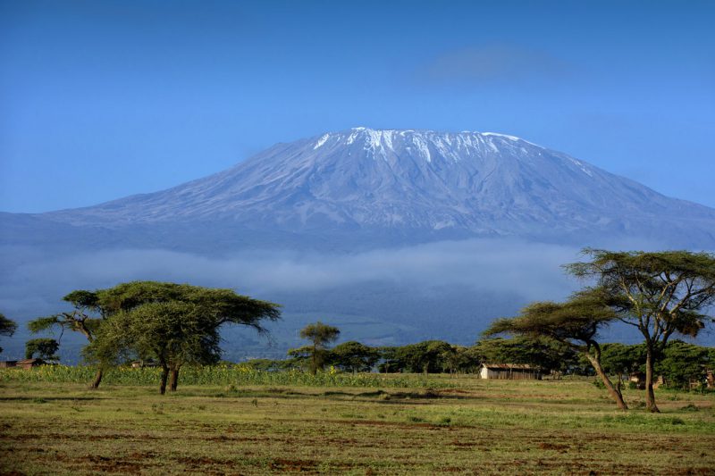 Widok na kilimandzaro