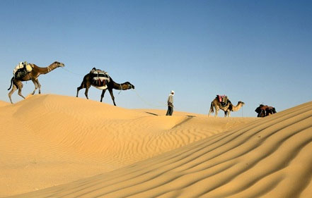 karawan wielbłądów tunisie